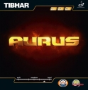 Tibhar " Aurus "